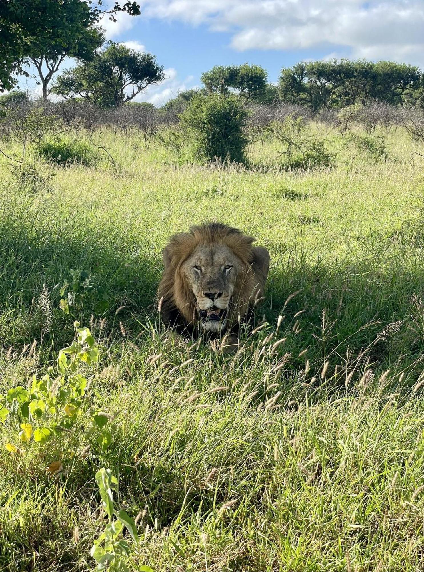 Rhino River Lodge Manyoni Private Game Reserve Екстериор снимка
